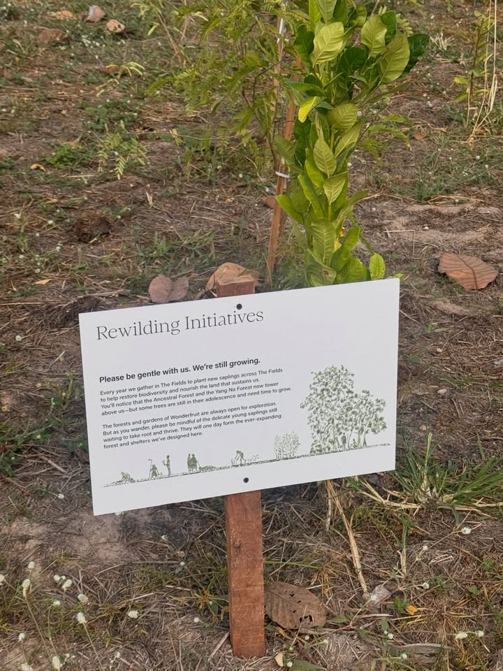 แคน - นายิกา ศรีเนียน