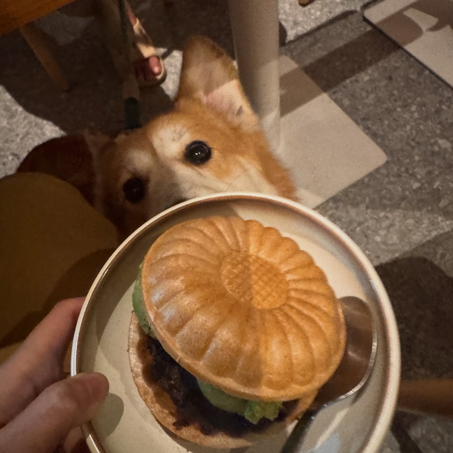 แคน - นายิกา ศรีเนียน