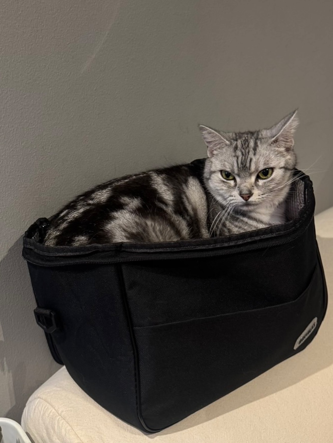 มิ้ลค์ - พรรษา วอสเบียน