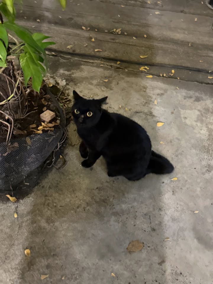 มิ้ลค์ - พรรษา วอสเบียน