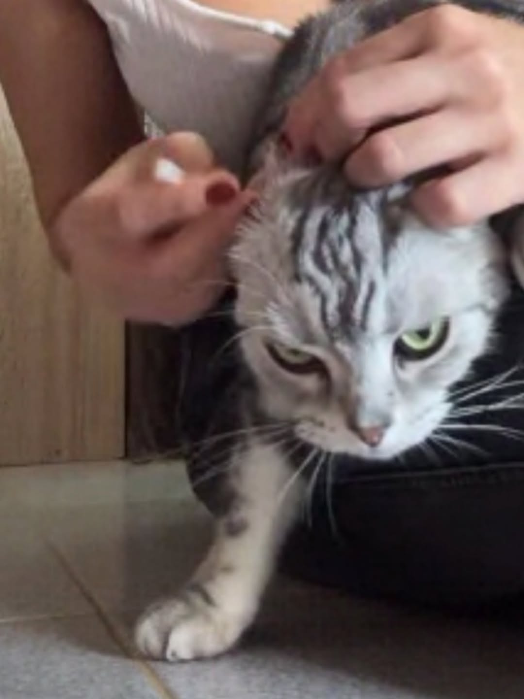 มิ้ลค์ - พรรษา วอสเบียน