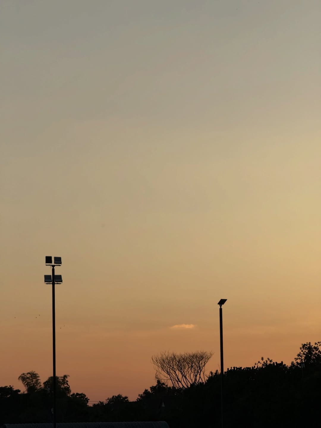 มิ้ลค์ - พรรษา วอสเบียน