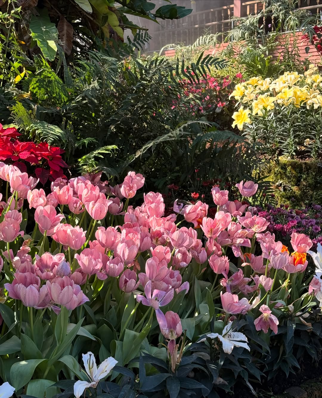 มิ้ลค์ - พรรษา วอสเบียน