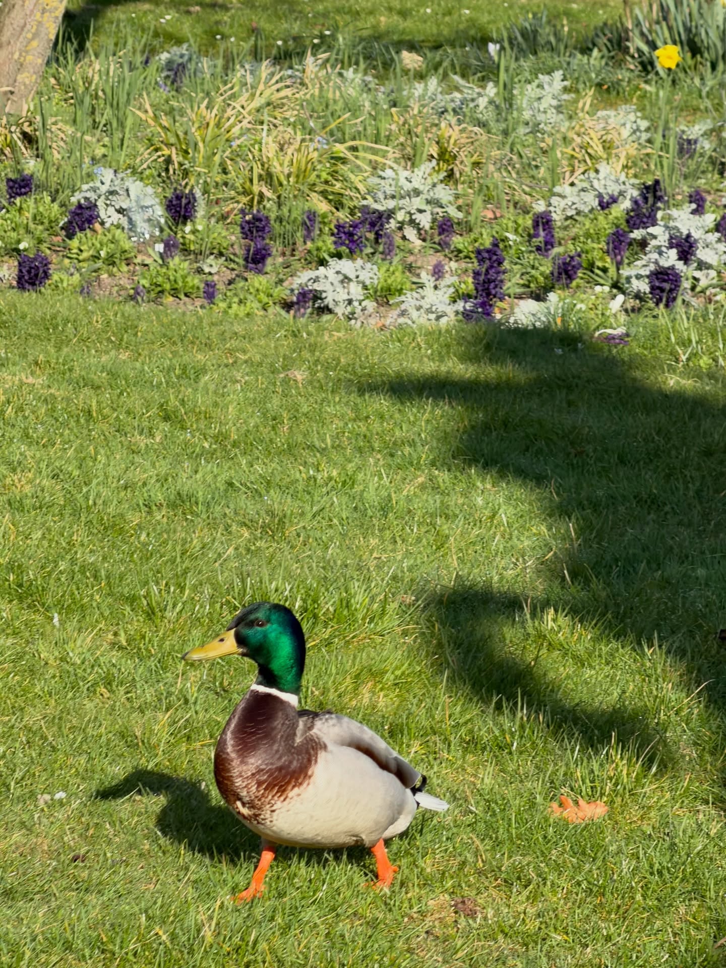 มิ้ลค์ - พรรษา วอสเบียน