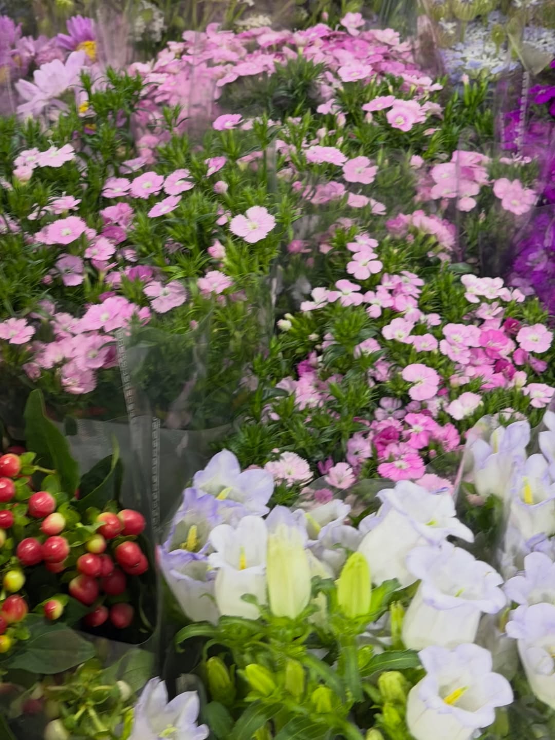 มิ้ลค์ - พรรษา วอสเบียน