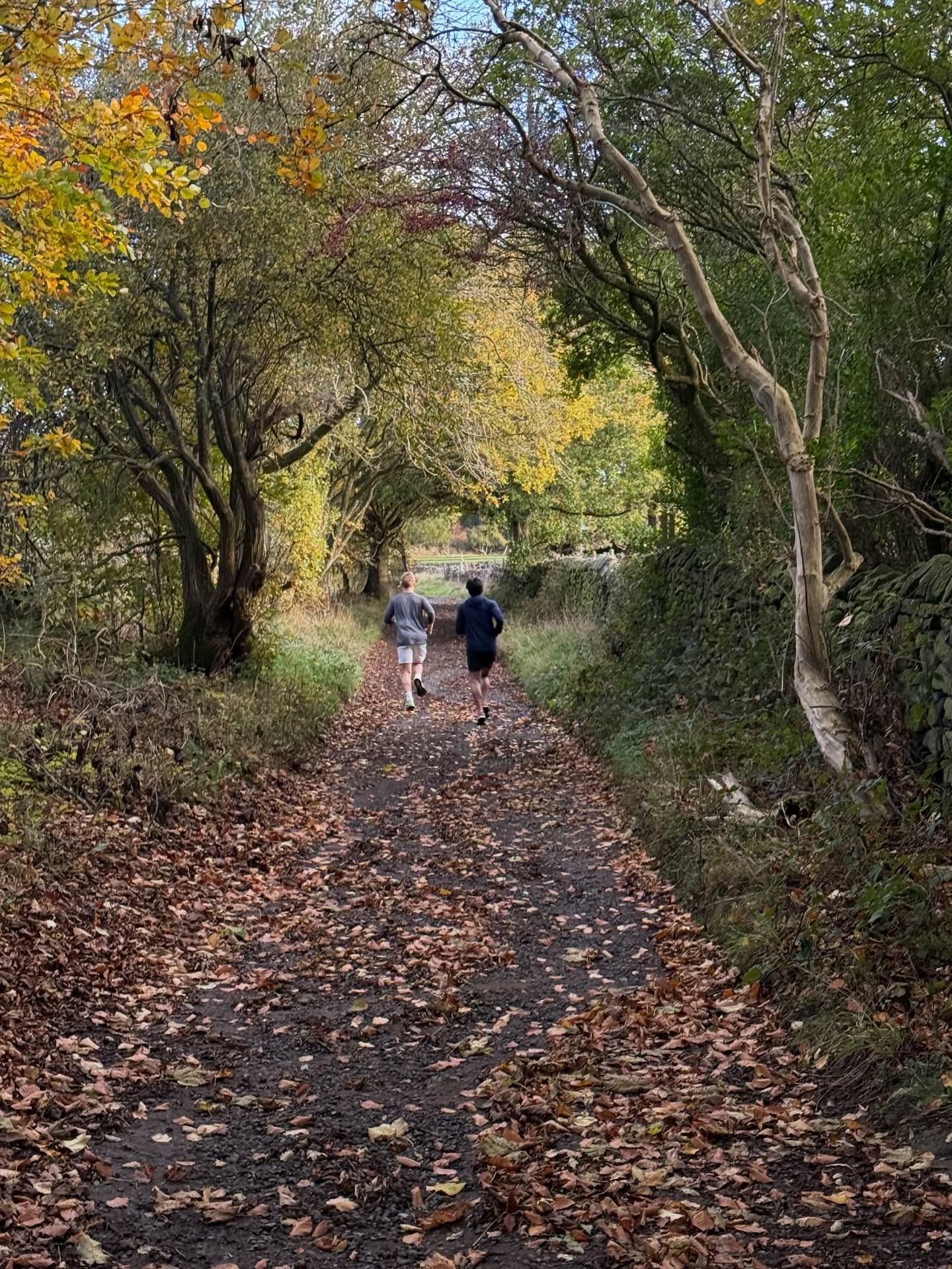 แต้ว - ณฐพร เตมีรักษ์