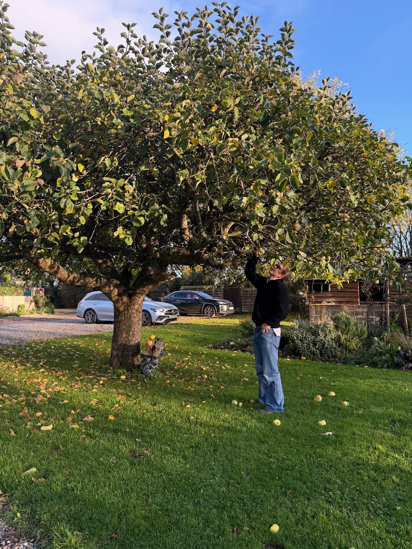 แต้ว - ณฐพร เตมีรักษ์