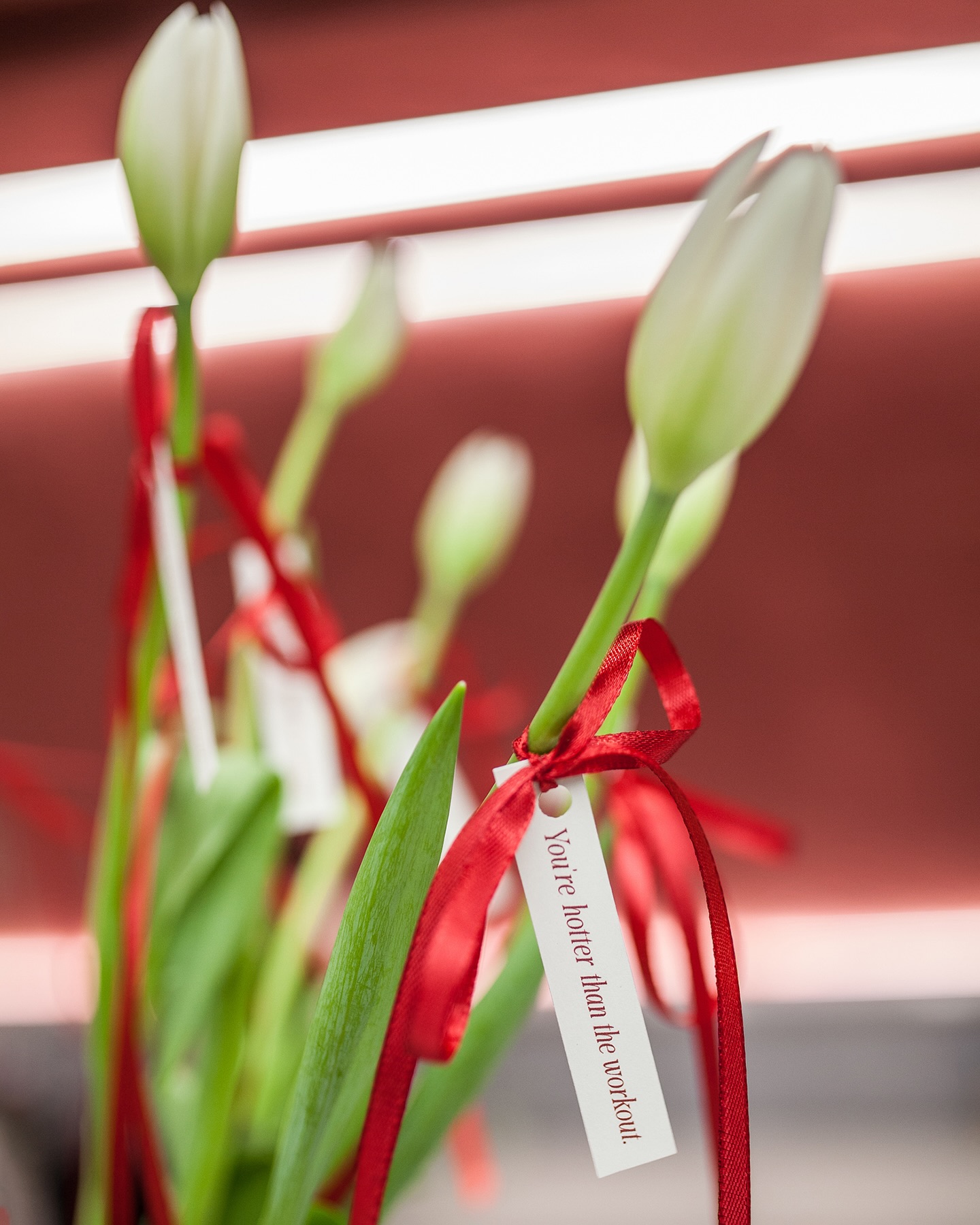 แต้ว - ณฐพร เตมีรักษ์