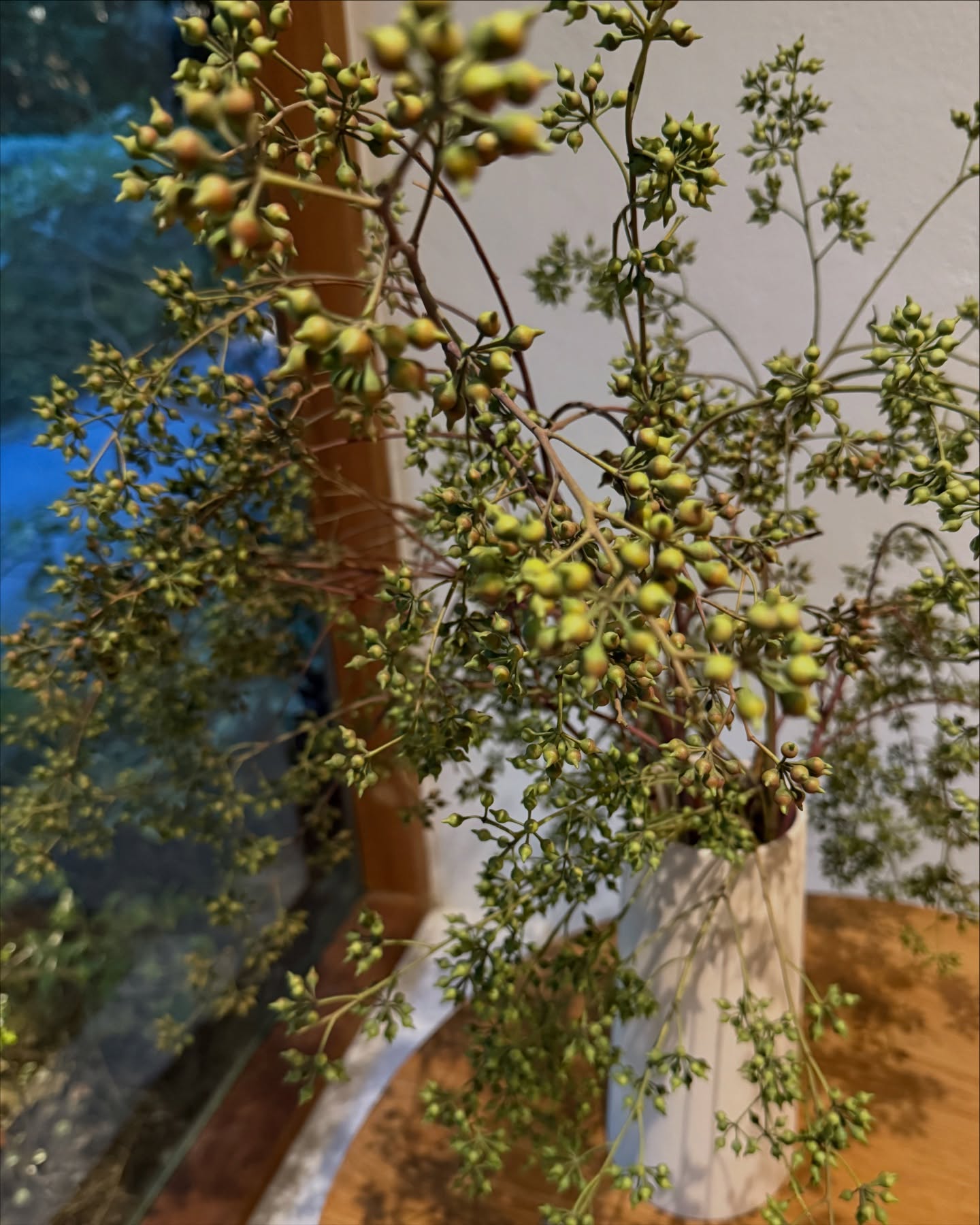 แต้ว - ณฐพร เตมีรักษ์