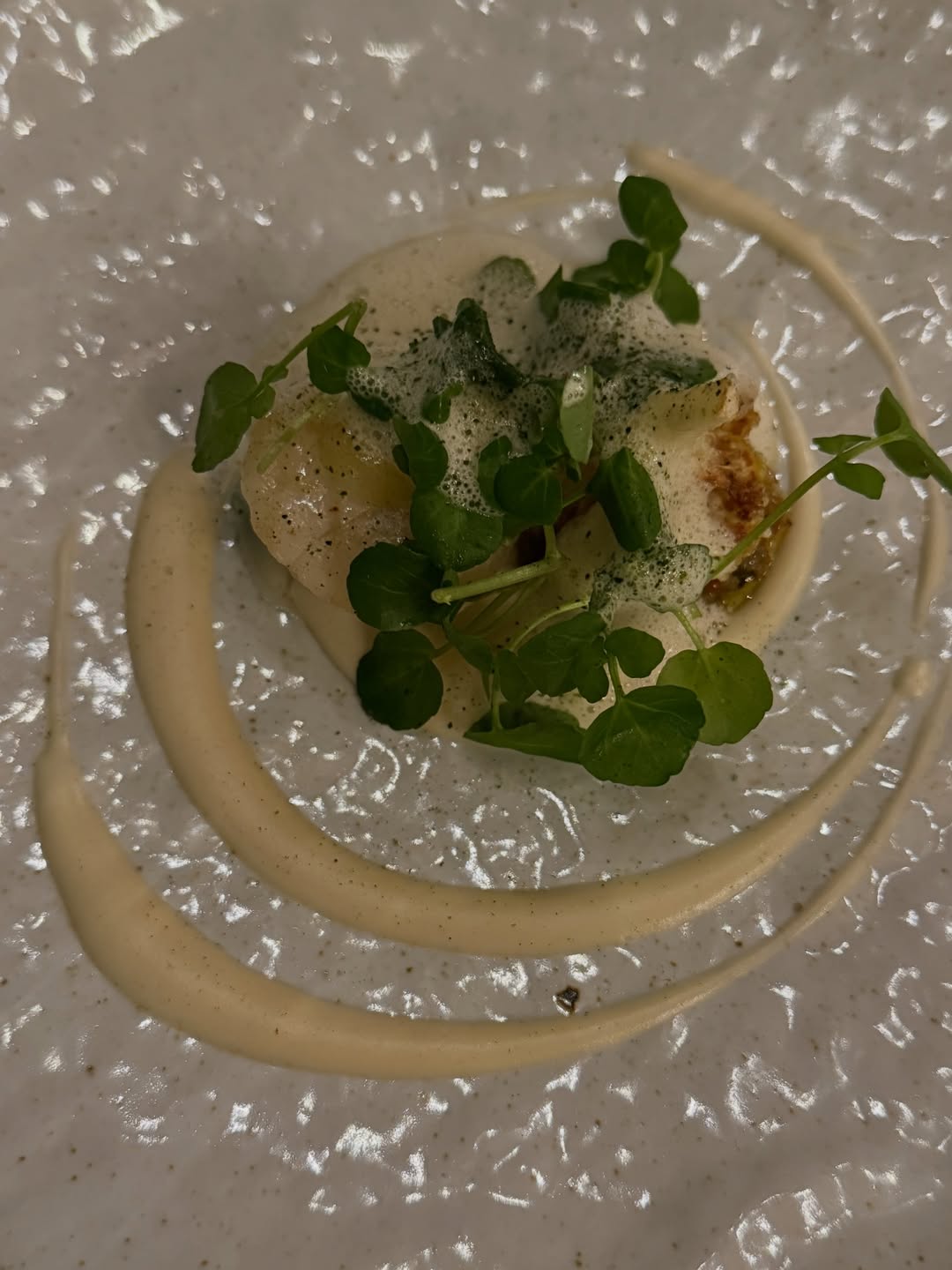 แต้ว - ณฐพร เตมีรักษ์