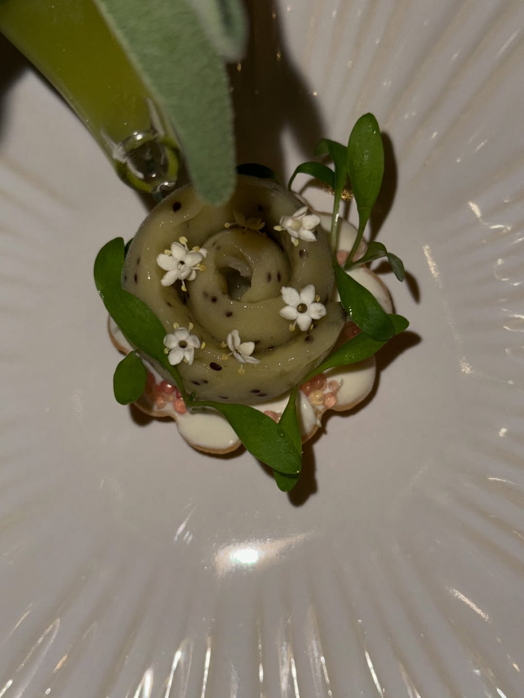 แต้ว - ณฐพร เตมีรักษ์