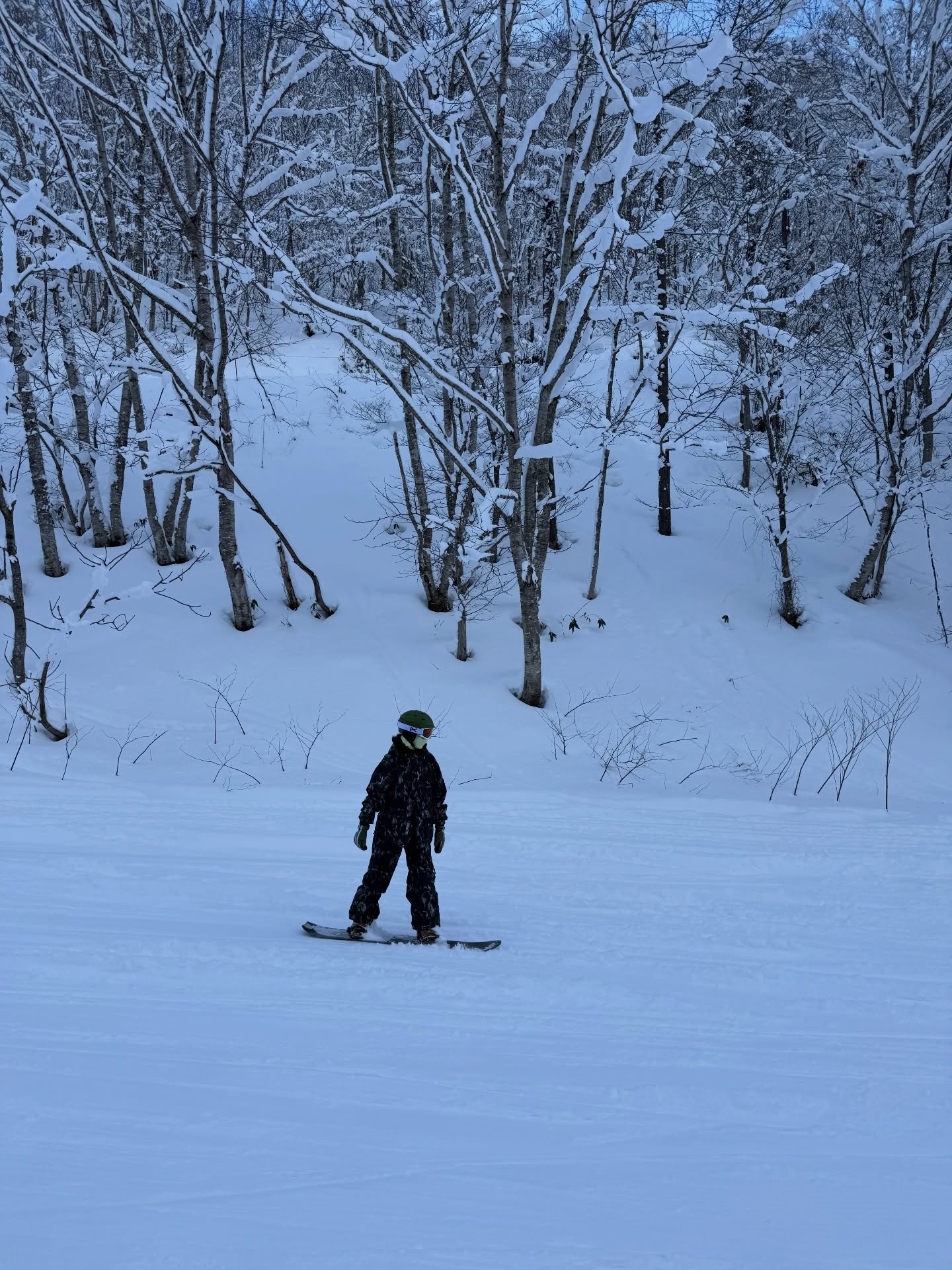 แต้ว - ณฐพร เตมีรักษ์