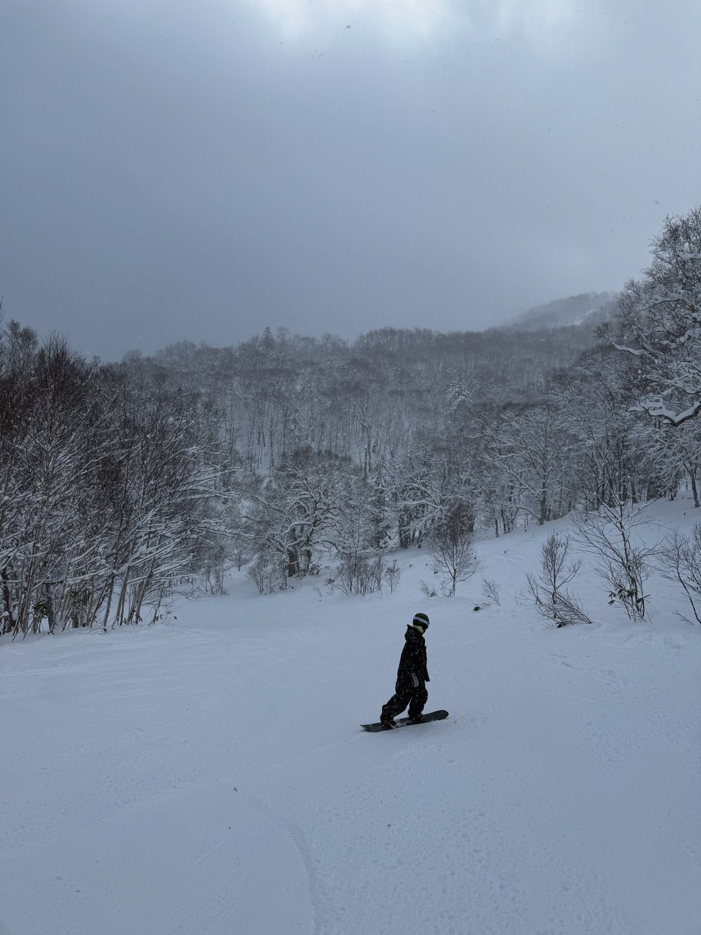 แต้ว - ณฐพร เตมีรักษ์