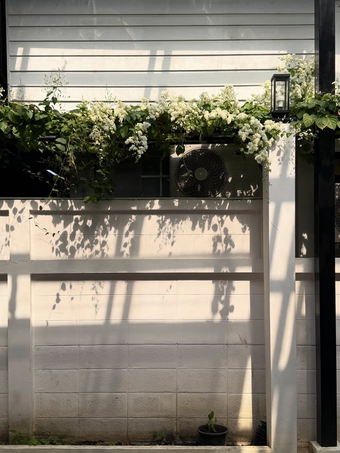 แต้ว - ณฐพร เตมีรักษ์