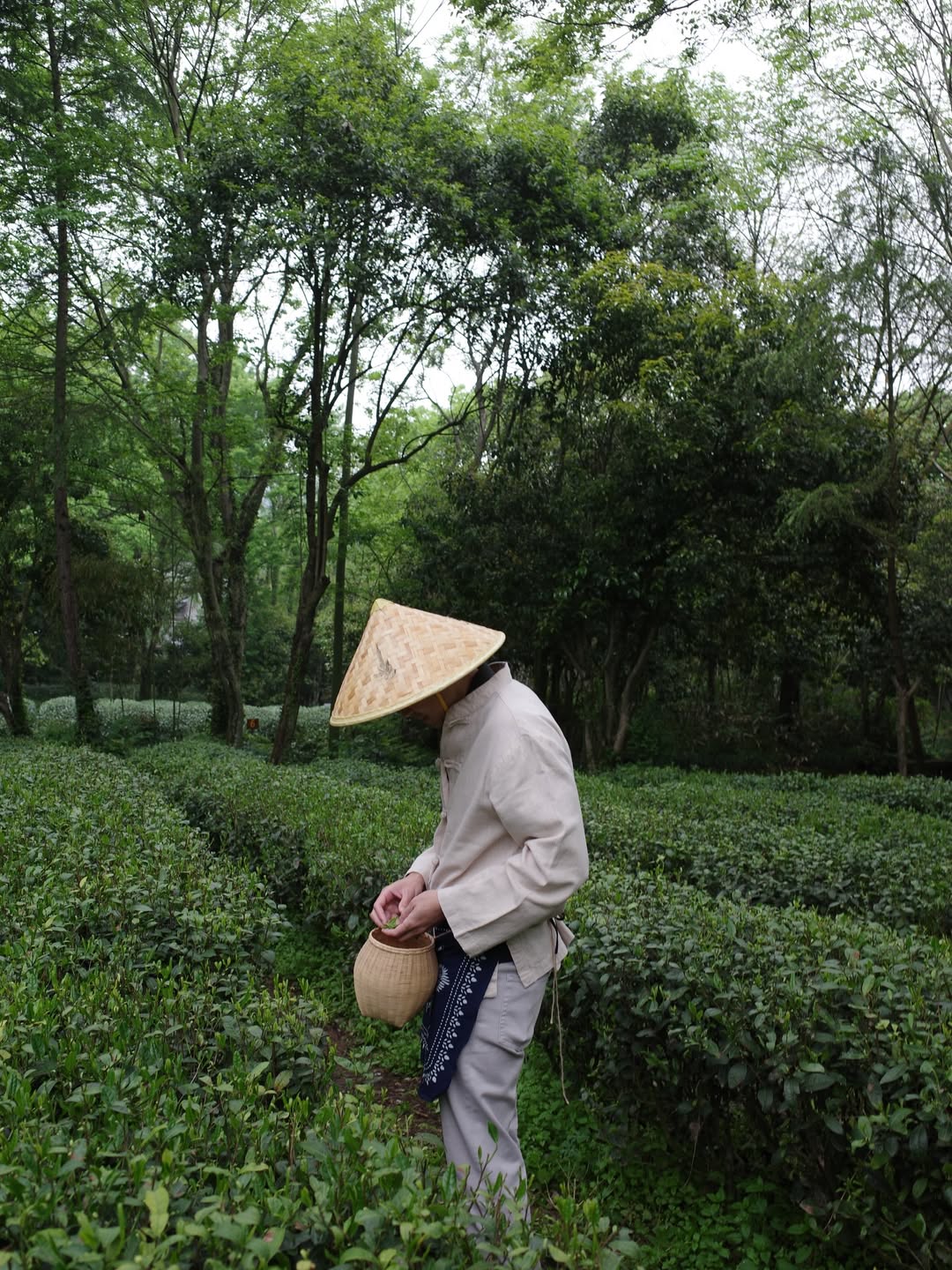 แต้ว - ณฐพร เตมีรักษ์