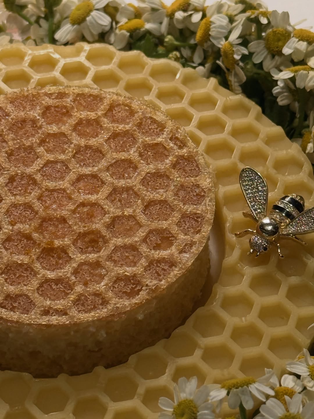 แต้ว - ณฐพร เตมีรักษ์