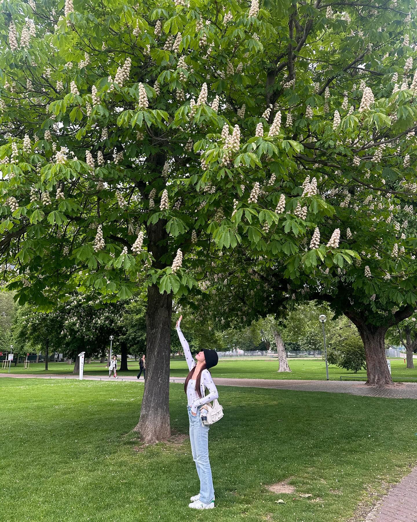 มายด์ - ลภัสลัล จิรเวชสุนทรกุล