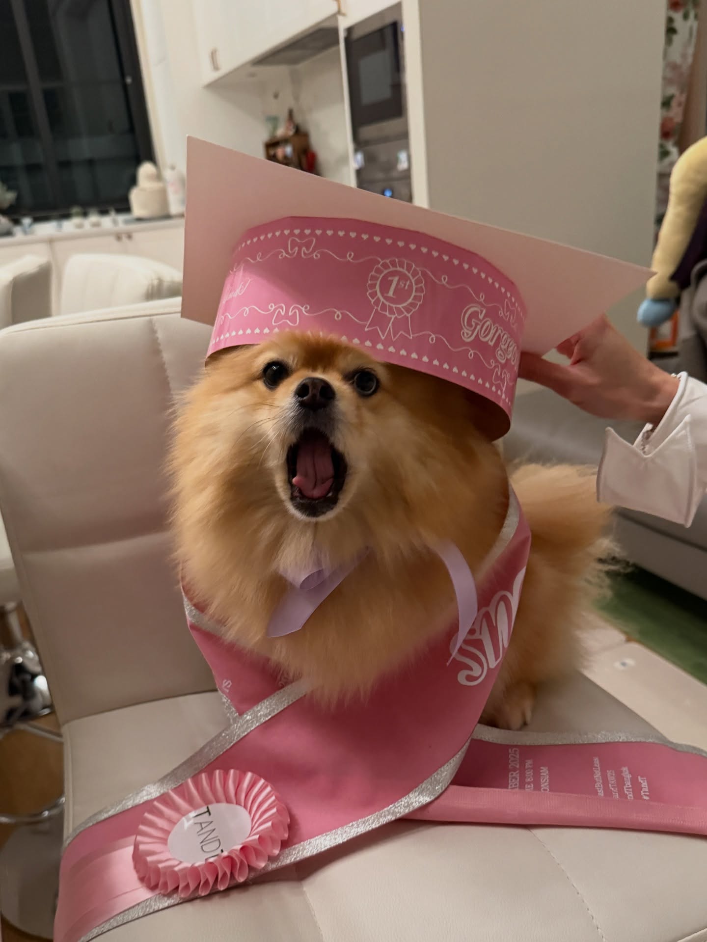 มายด์ - ลภัสลัล จิรเวชสุนทรกุล