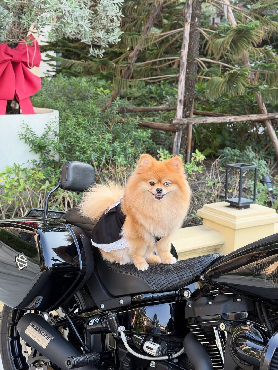 มายด์ - ลภัสลัล จิรเวชสุนทรกุล