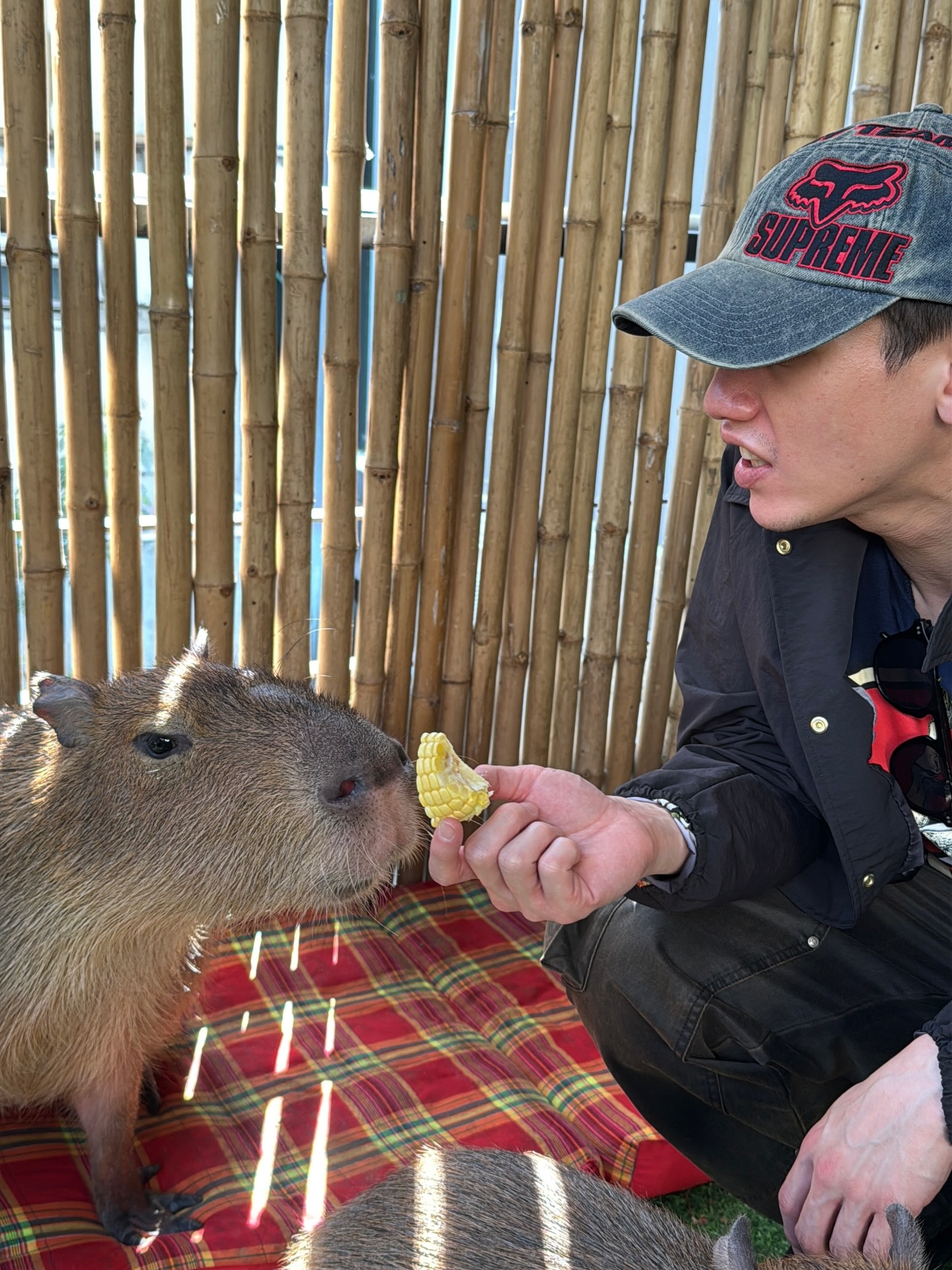 มายด์ - ลภัสลัล จิรเวชสุนทรกุล