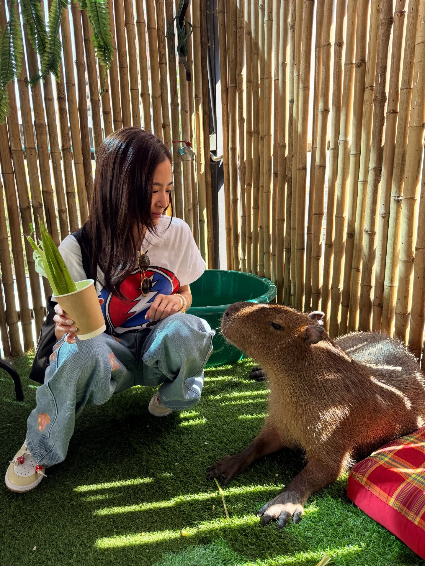 มายด์ - ลภัสลัล จิรเวชสุนทรกุล