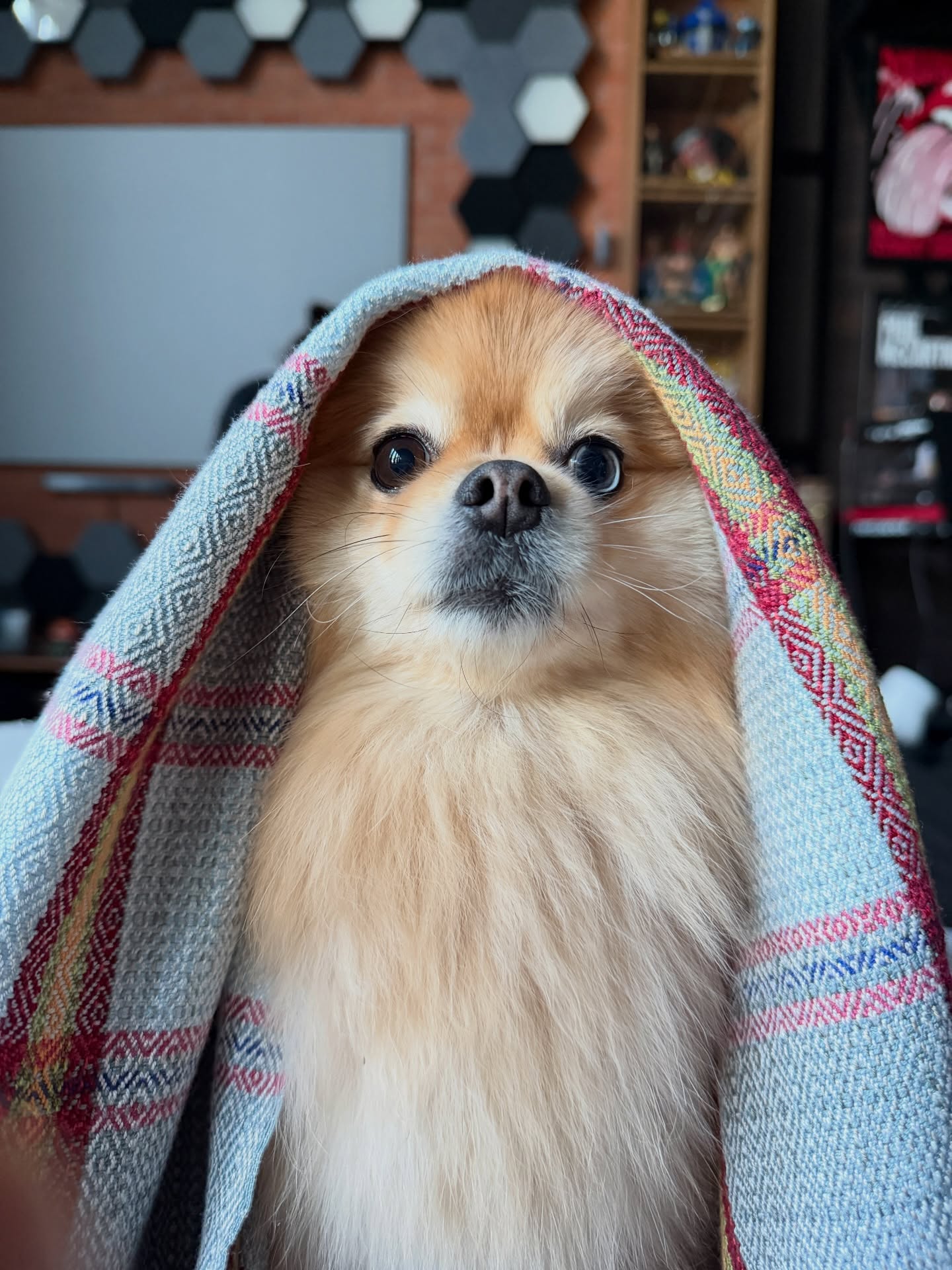 มายด์ - ลภัสลัล จิรเวชสุนทรกุล