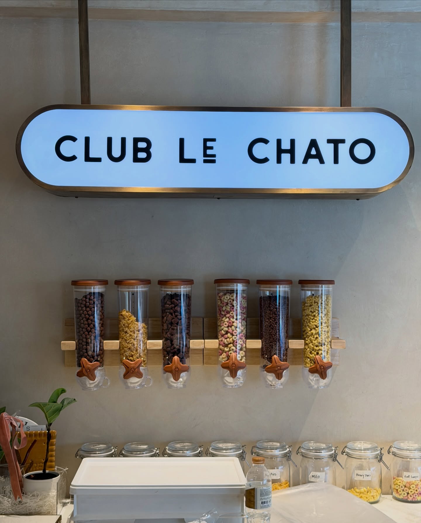 มายด์ - ลภัสลัล จิรเวชสุนทรกุล