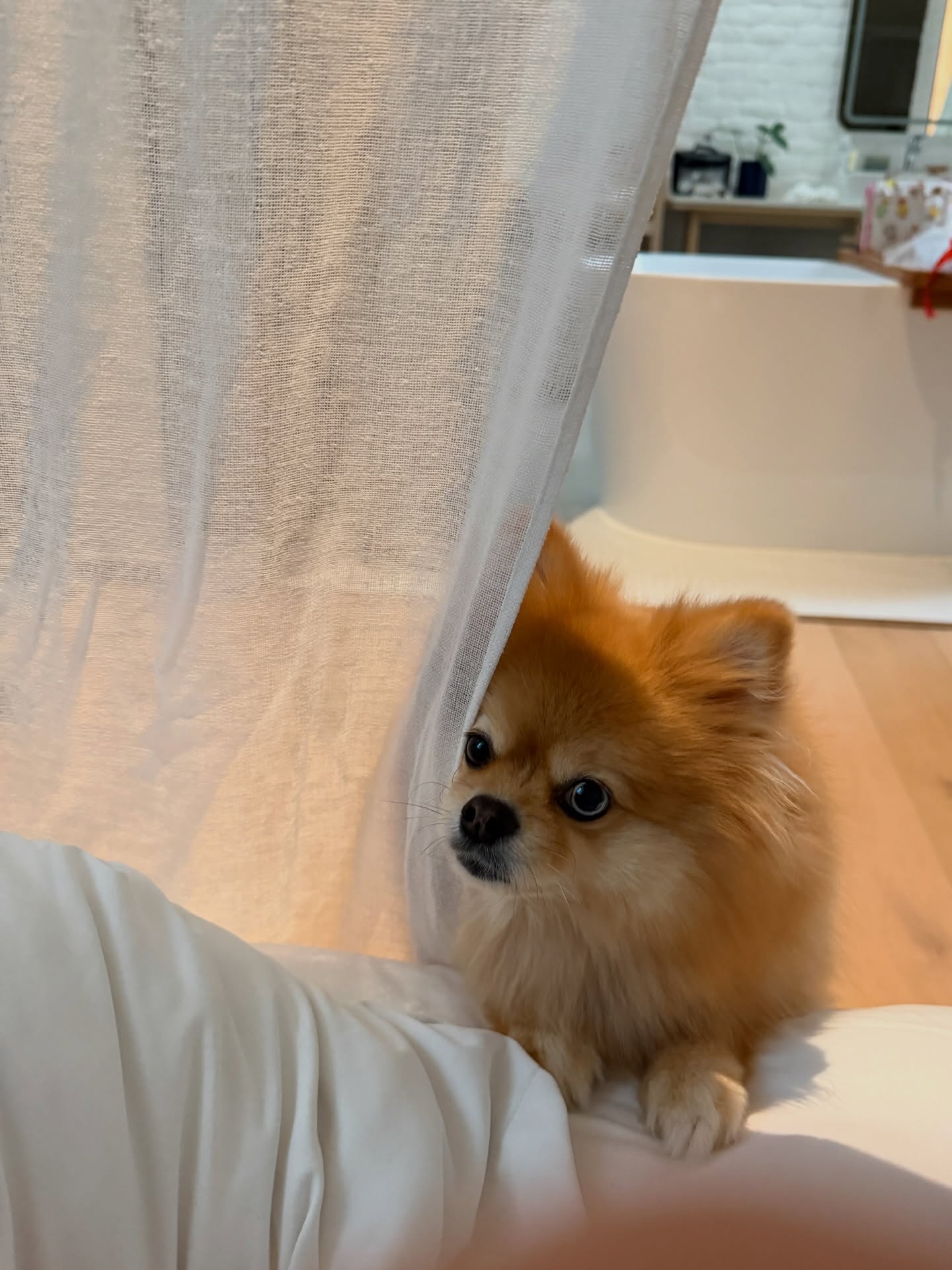 มายด์ - ลภัสลัล จิรเวชสุนทรกุล