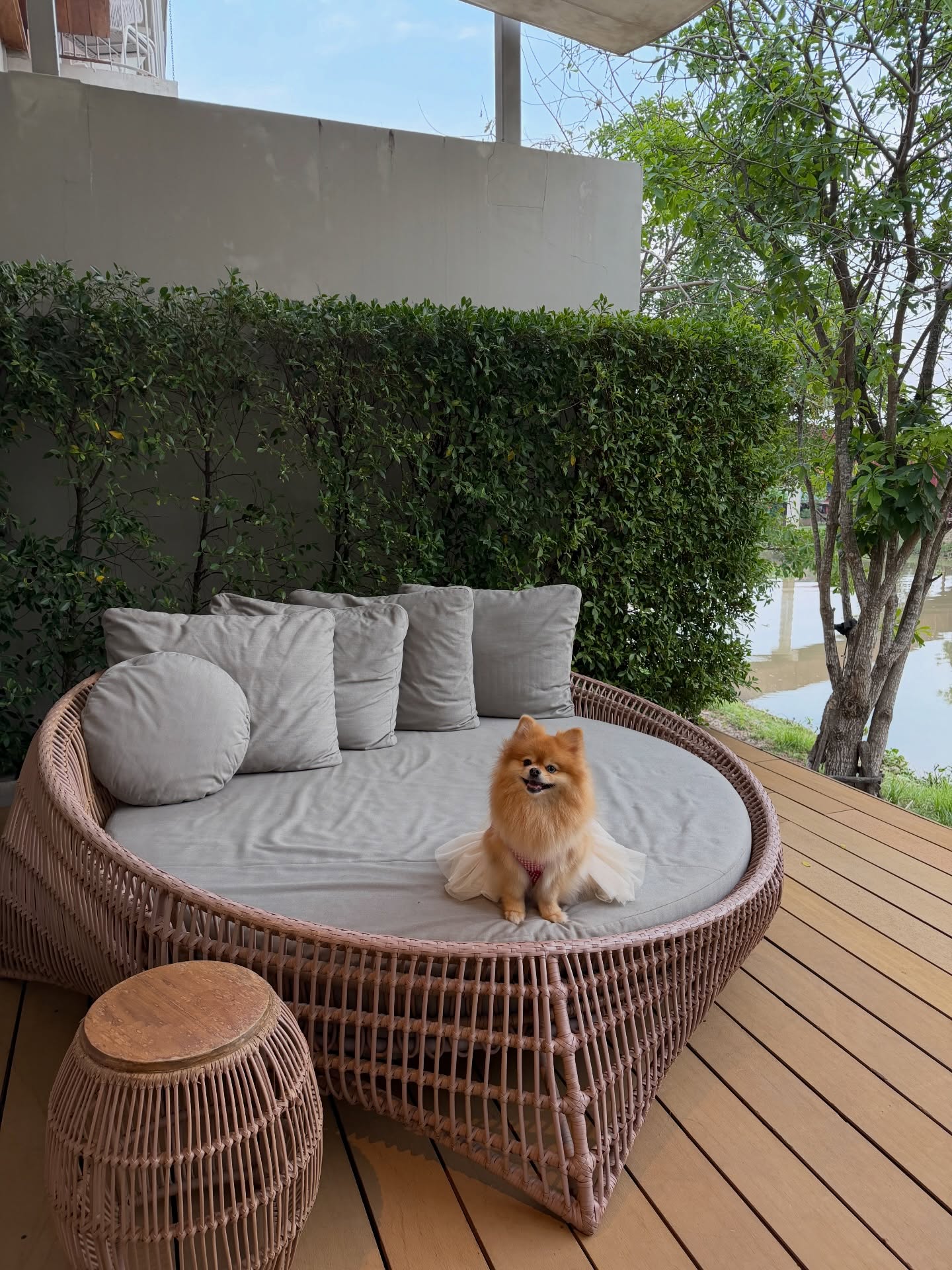 มายด์ - ลภัสลัล จิรเวชสุนทรกุล