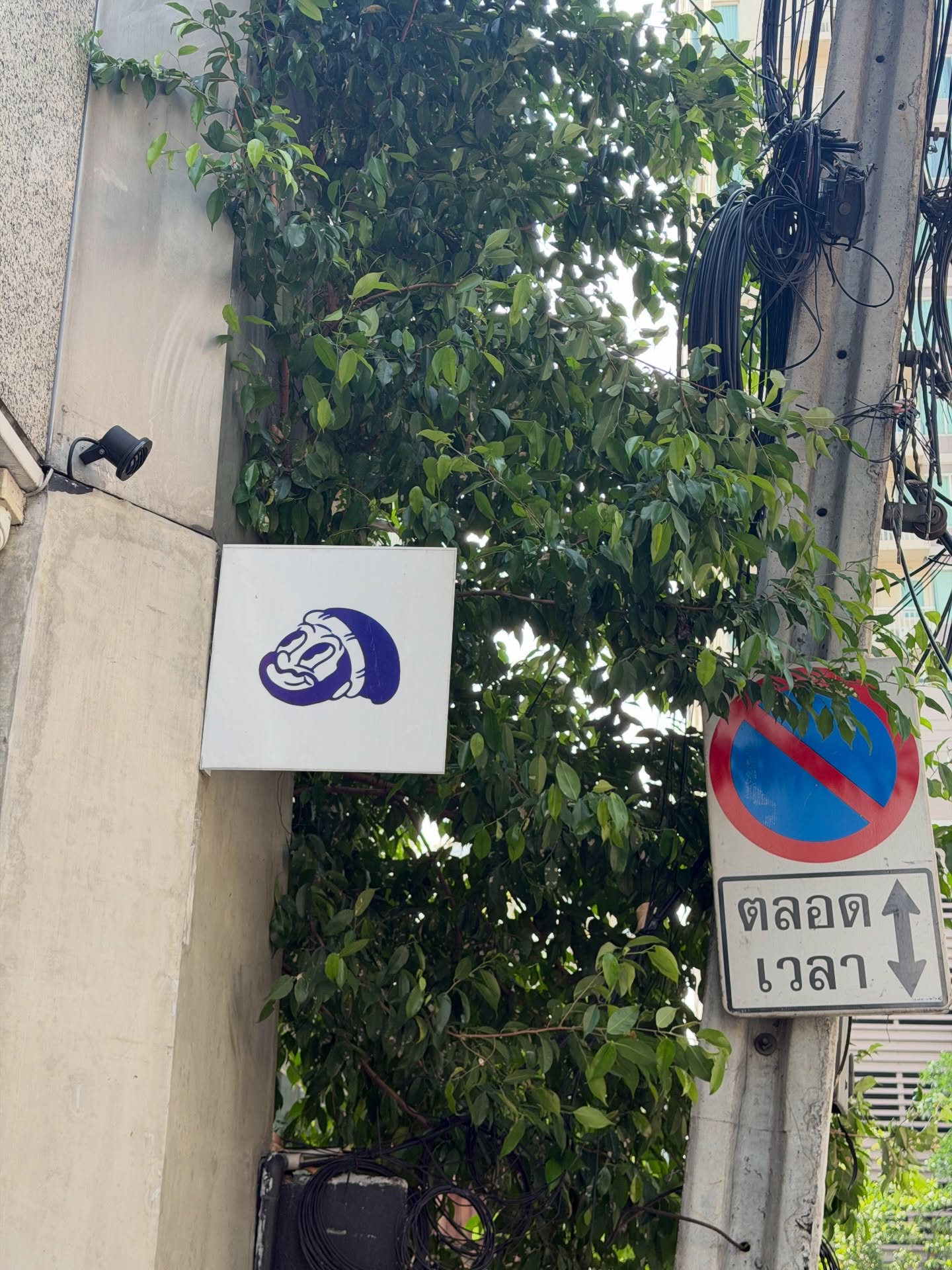 มายด์ - ลภัสลัล จิรเวชสุนทรกุล