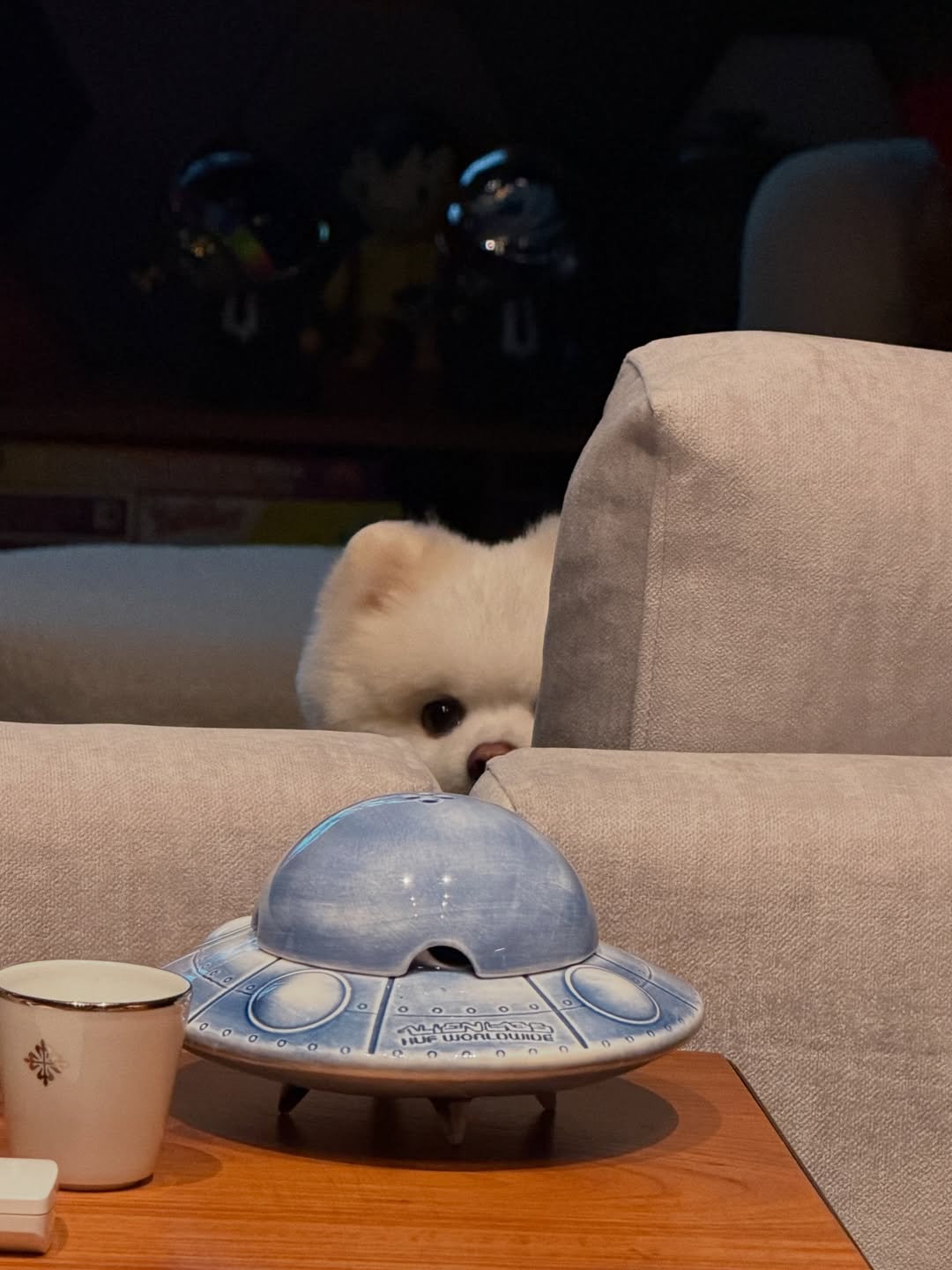 มายด์ - ลภัสลัล จิรเวชสุนทรกุล