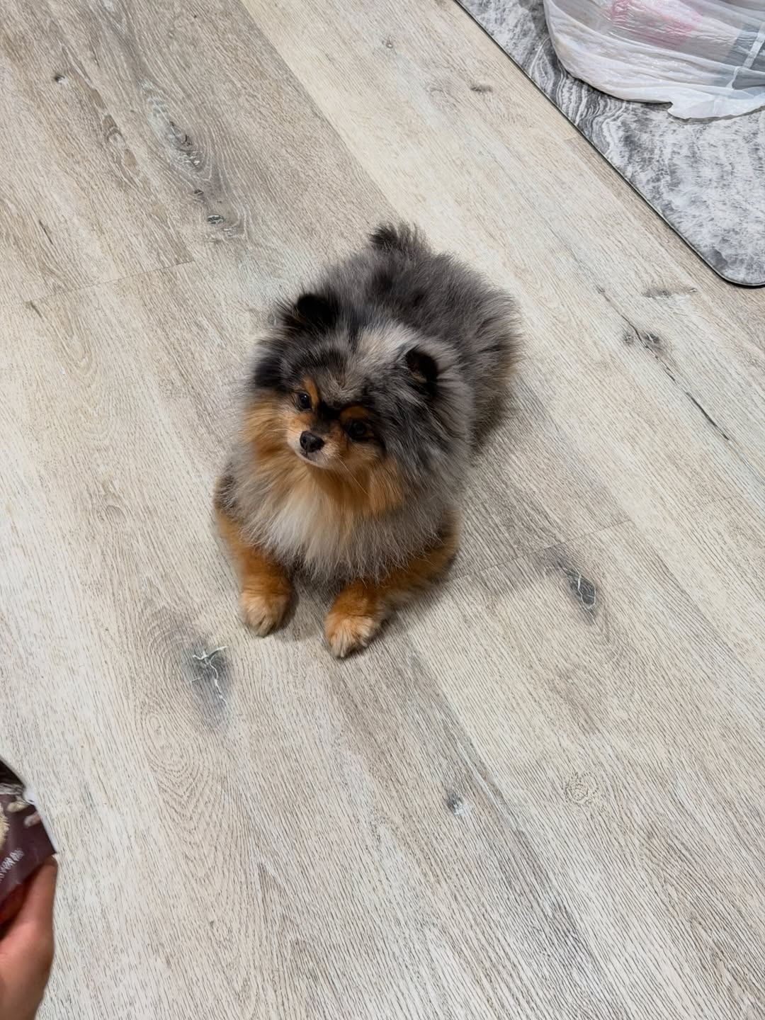 มายด์ - ลภัสลัล จิรเวชสุนทรกุล