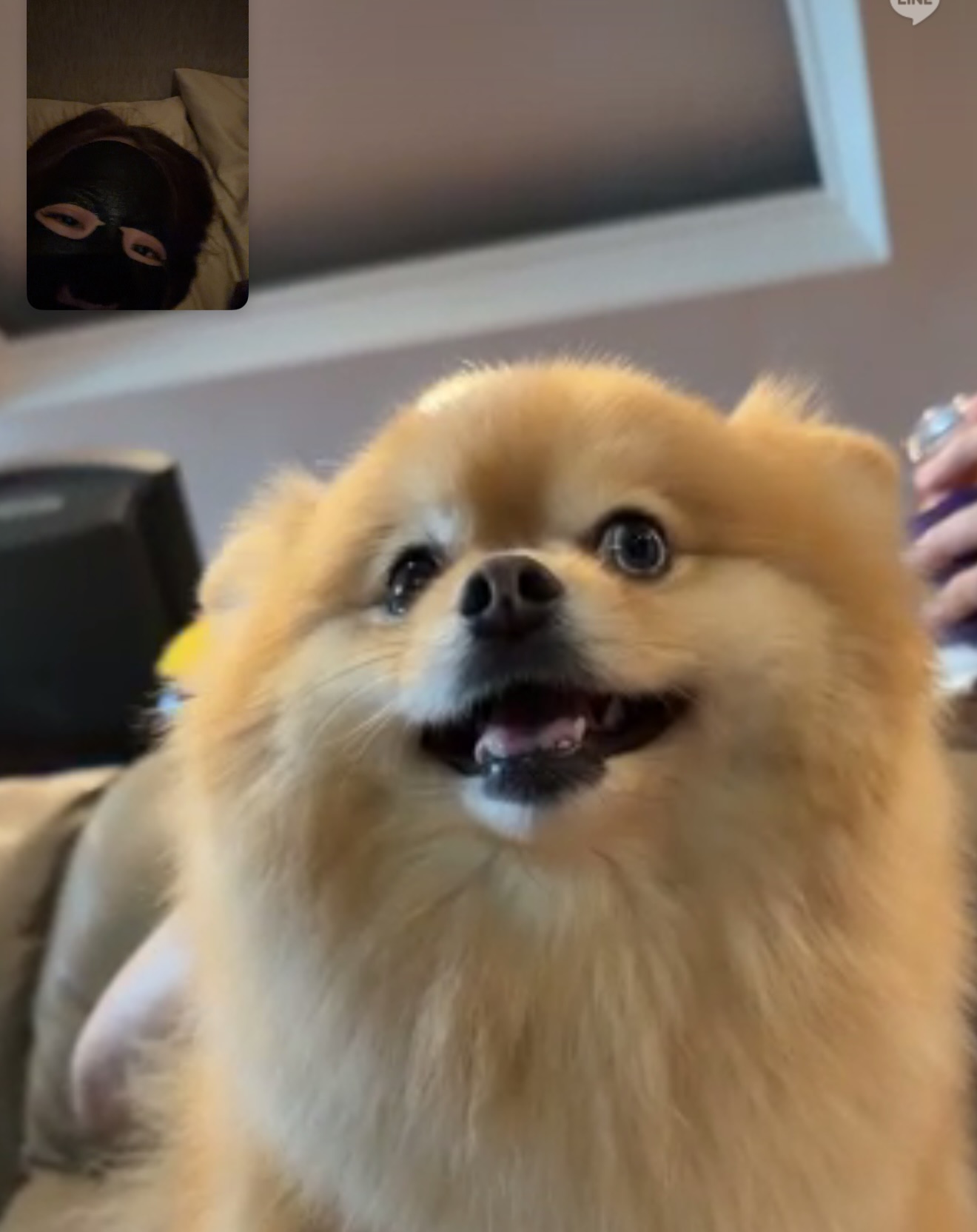 มายด์ - ลภัสลัล จิรเวชสุนทรกุล