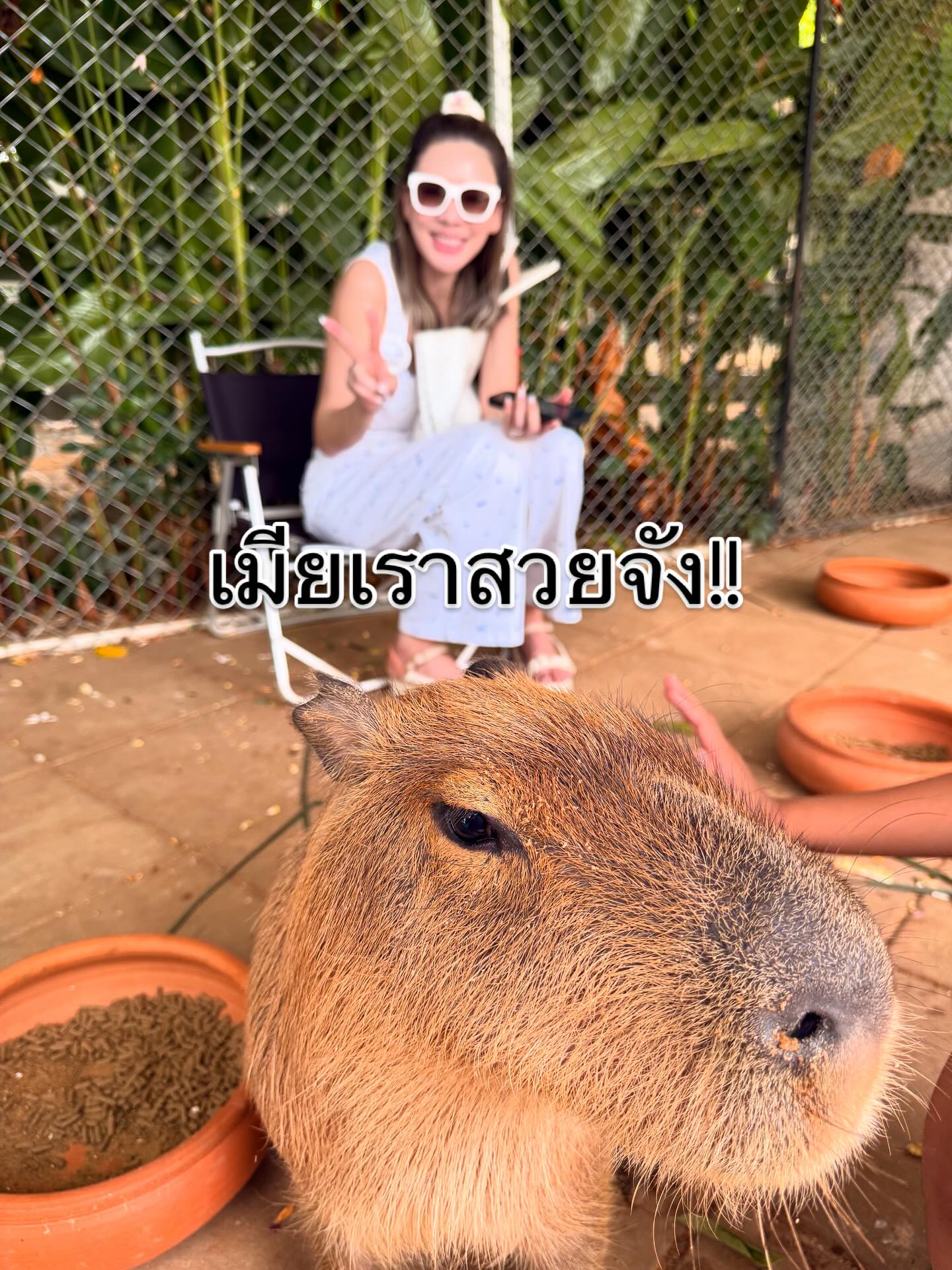 ป๋อ - ณัฐวุฒิ สกิดใจ