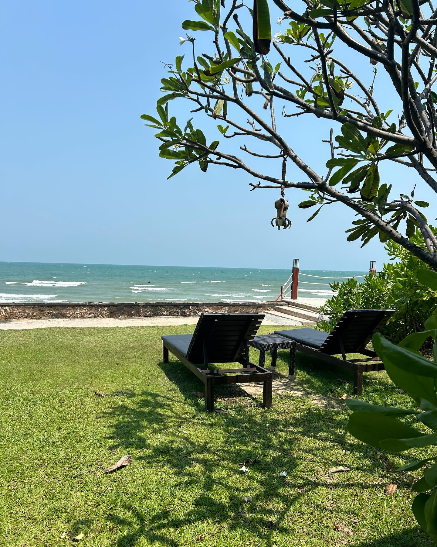 แพรว - เฌอมาวีร์ สุวรรณภานุโชค