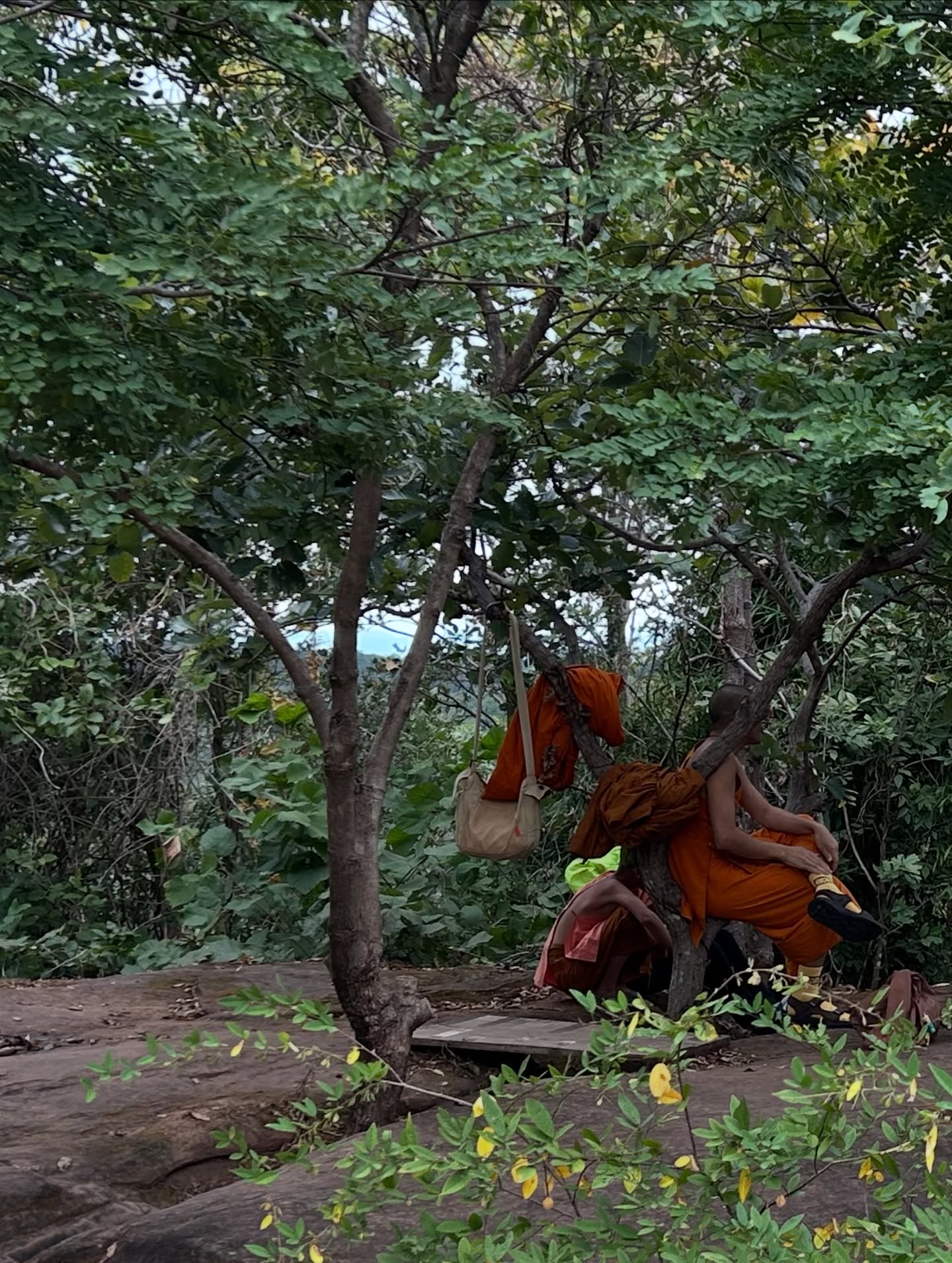 แพรว - เฌอมาวีร์ สุวรรณภานุโชค