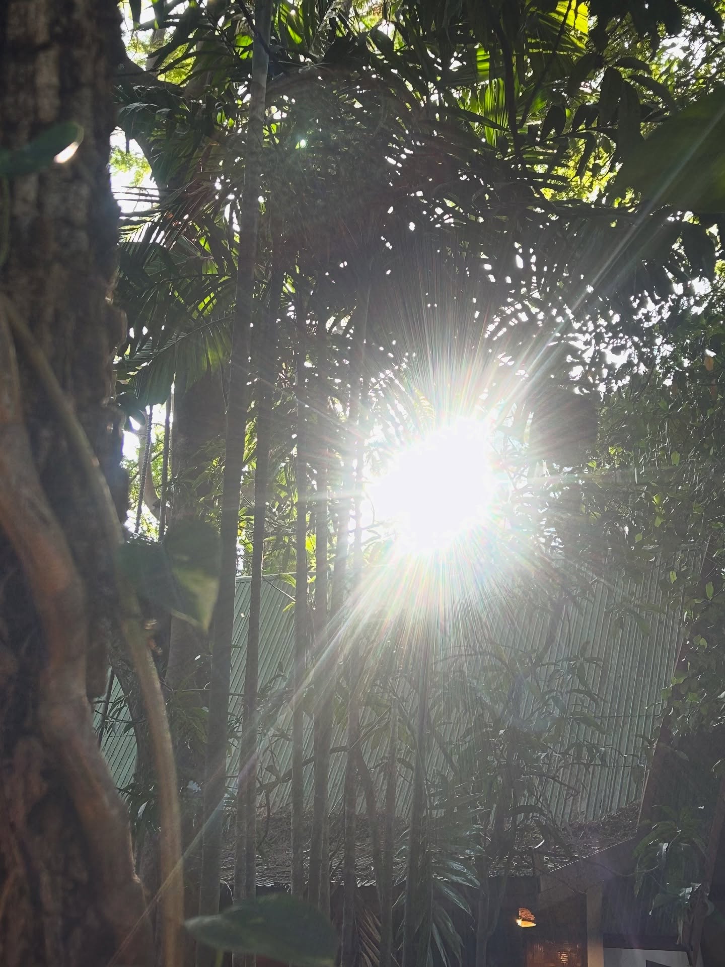 แพรว - เฌอมาวีร์ สุวรรณภานุโชค