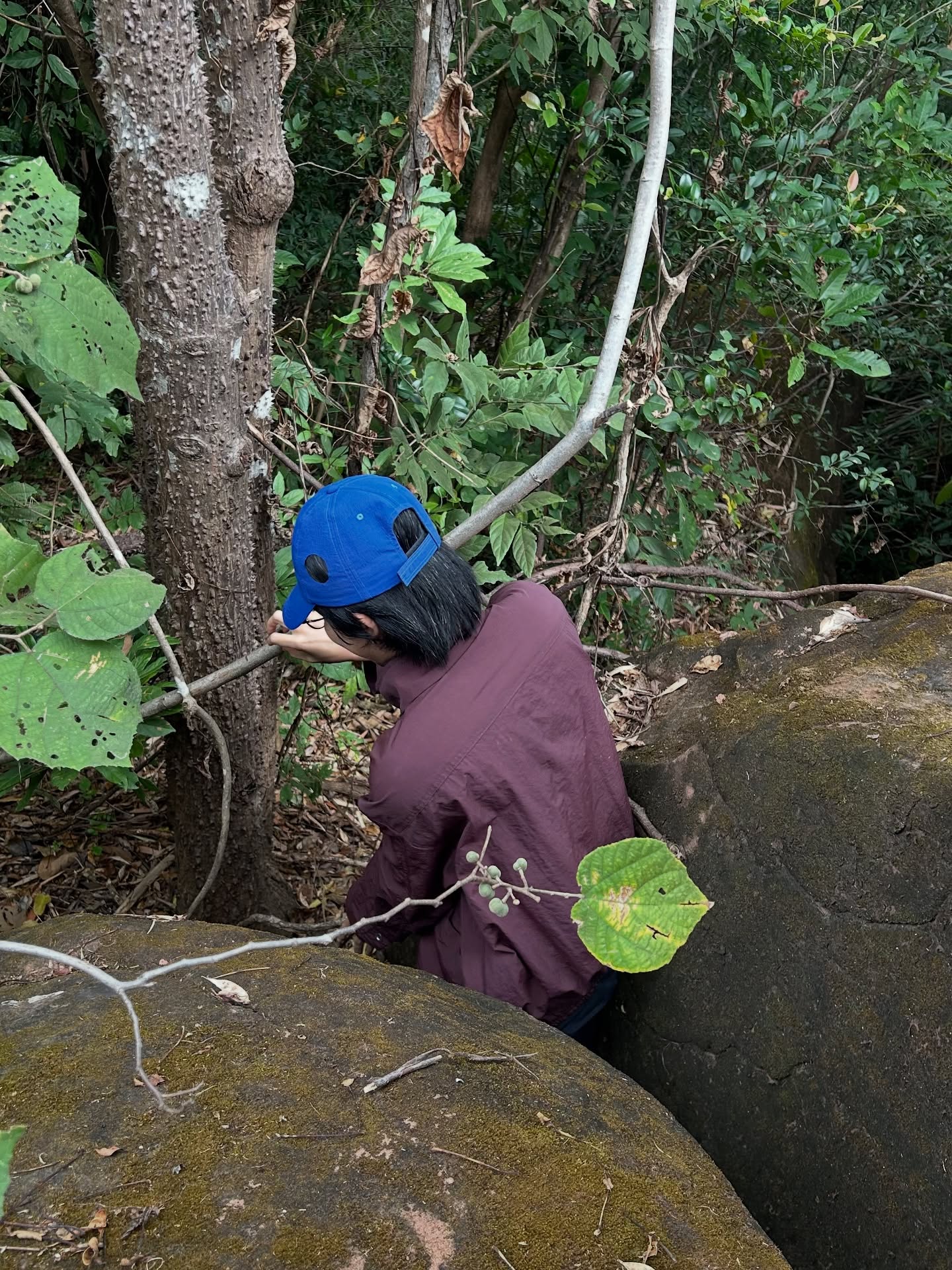 แพรว - เฌอมาวีร์ สุวรรณภานุโชค