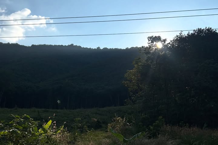 แพรว - เฌอมาวีร์ สุวรรณภานุโชค