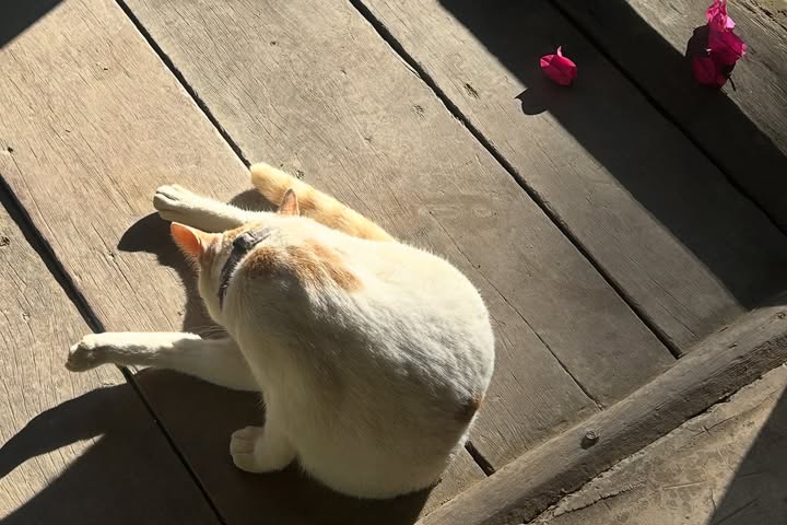 แพรว - เฌอมาวีร์ สุวรรณภานุโชค