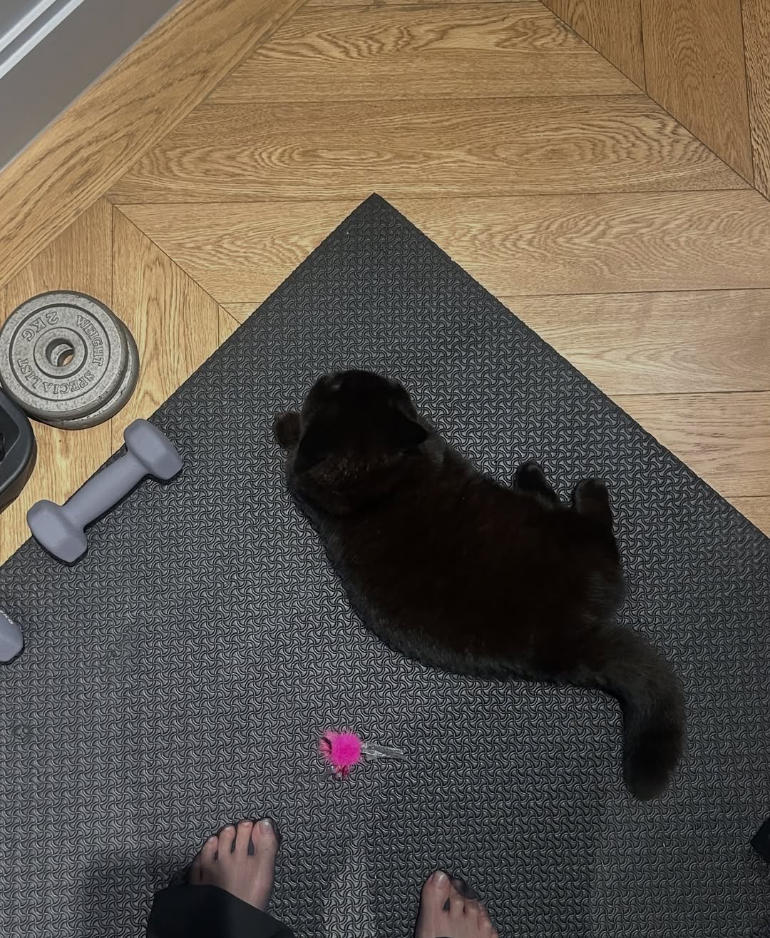 แพรว - เฌอมาวีร์ สุวรรณภานุโชค