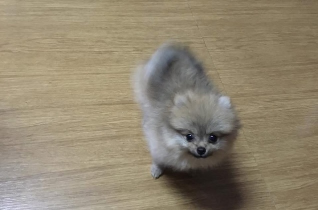 แพรว - เฌอมาวีร์ สุวรรณภานุโชค