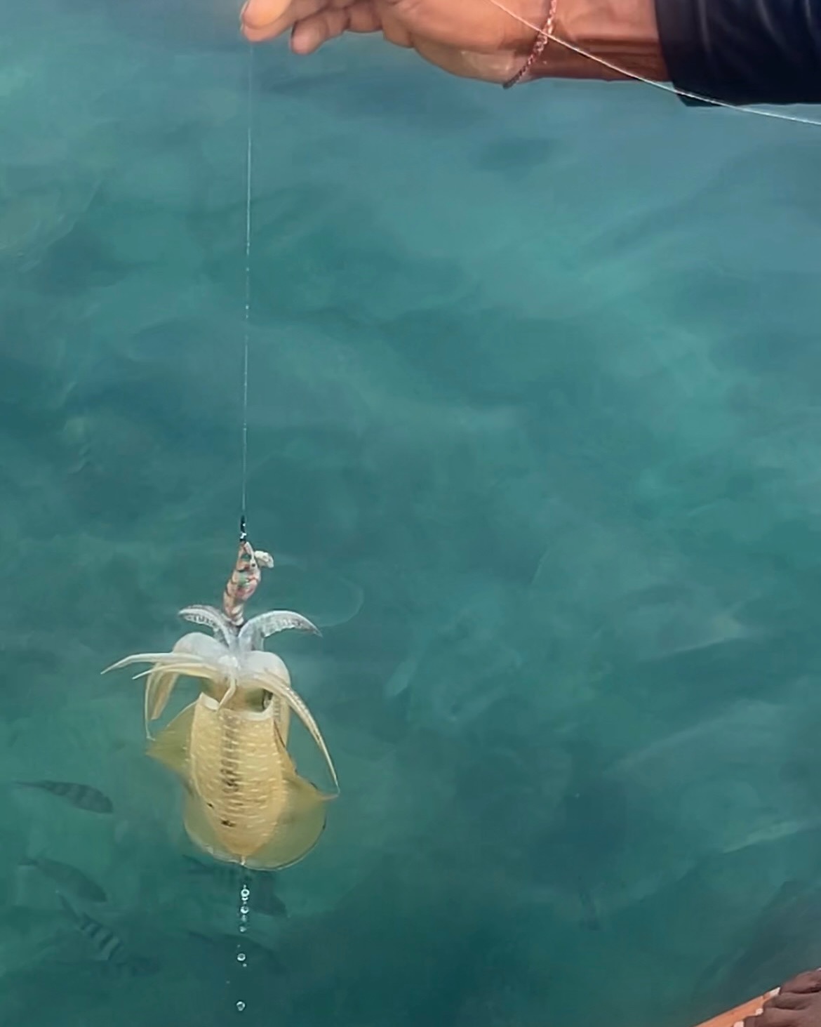 แพรว - เฌอมาวีร์ สุวรรณภานุโชค