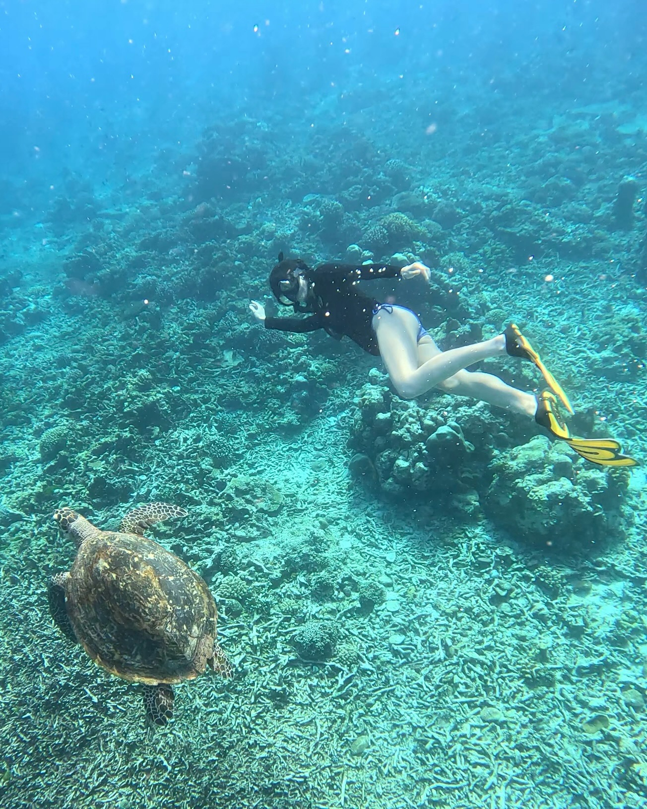 แพรว - เฌอมาวีร์ สุวรรณภานุโชค