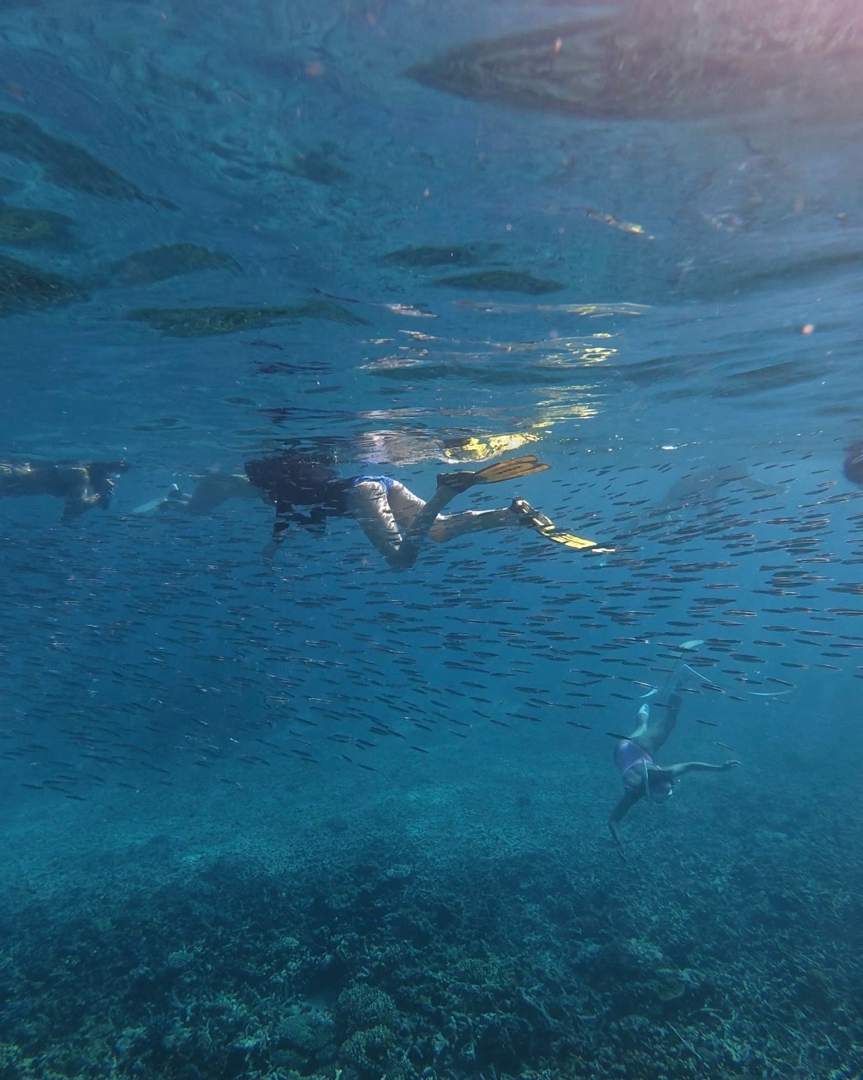 แพรว - เฌอมาวีร์ สุวรรณภานุโชค