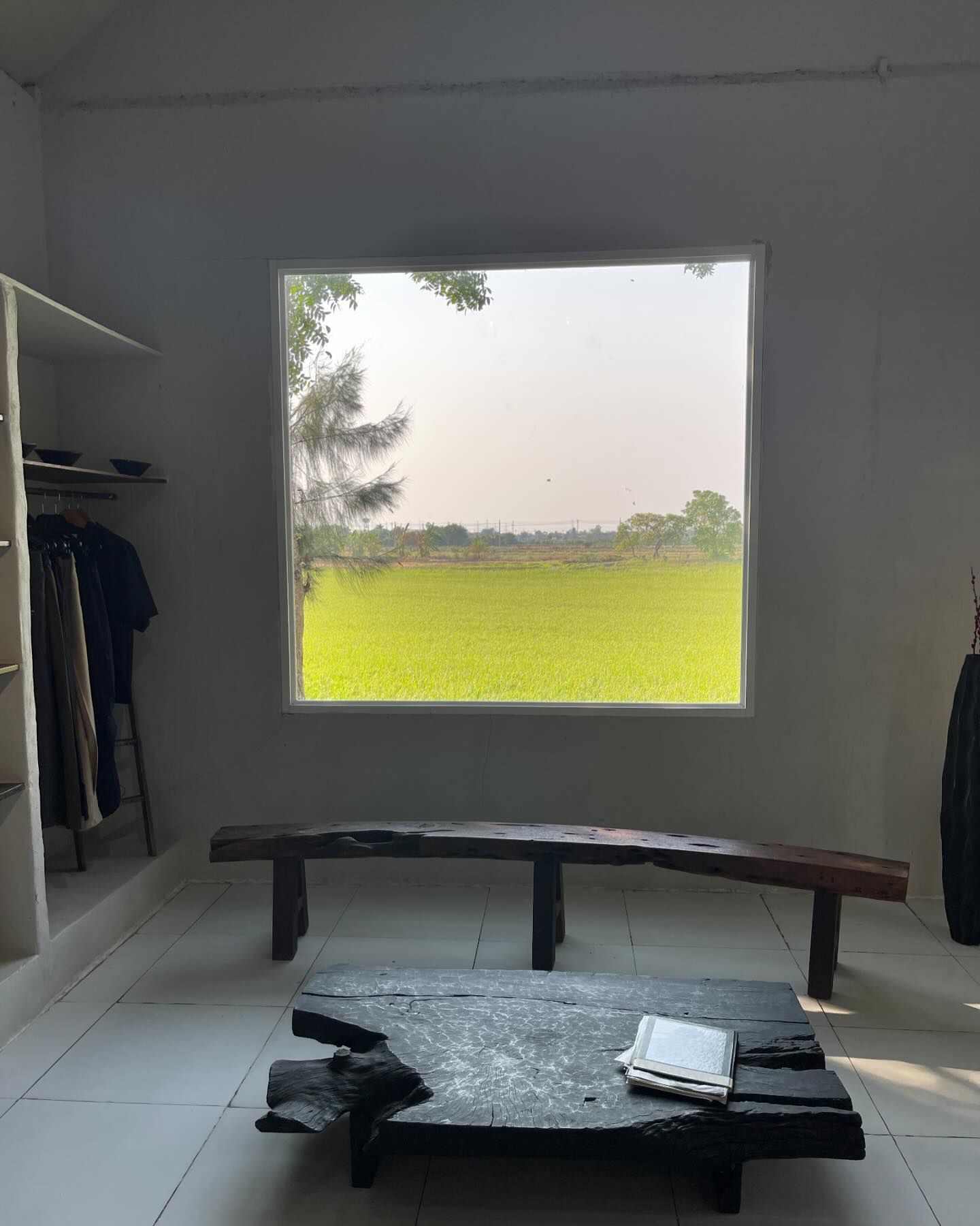 ฮาน่า ลีวิส