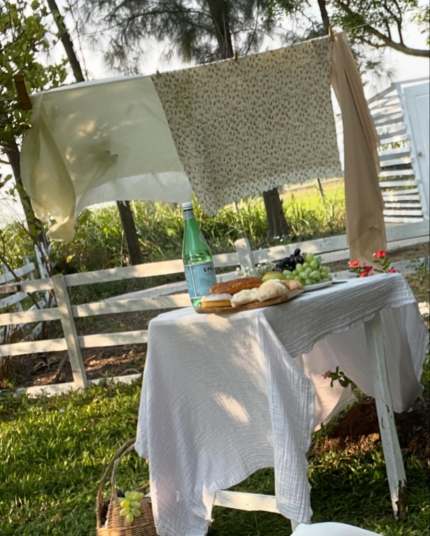 ฮาน่า ลีวิส