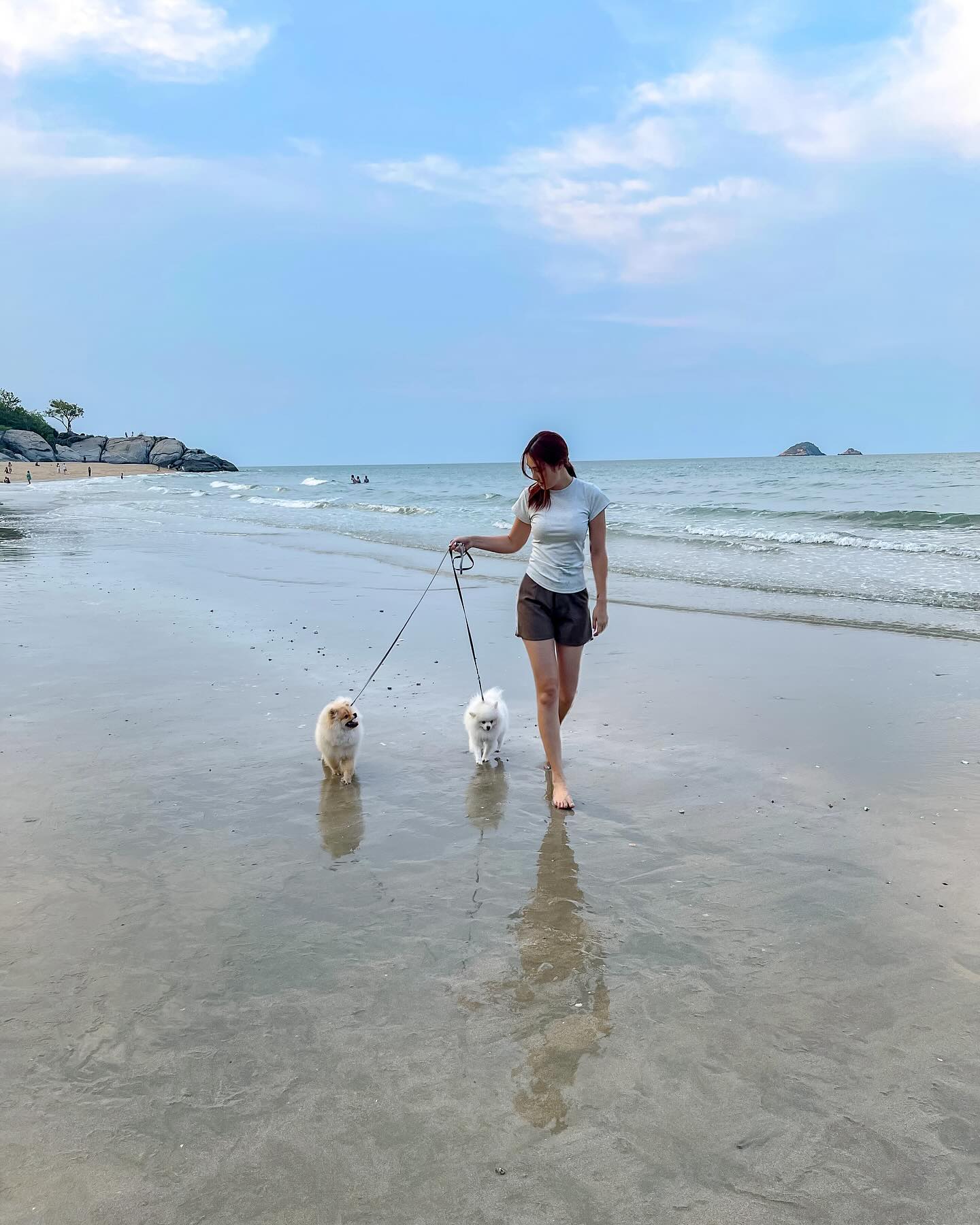 ฮาน่า ลีวิส