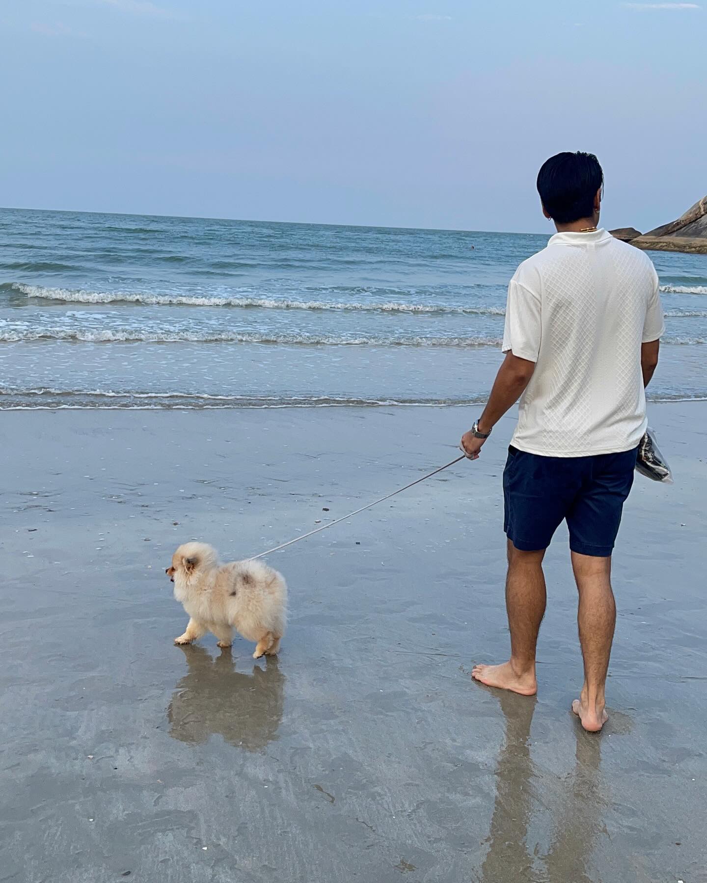 ฮาน่า ลีวิส