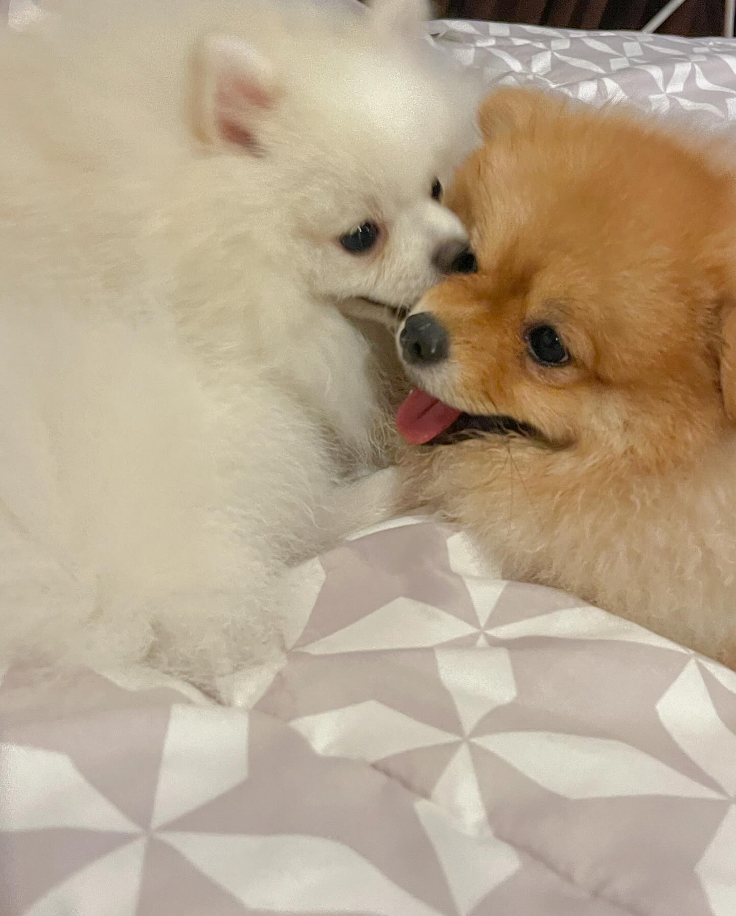 ฮาน่า ลีวิส